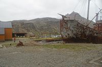 
DSC00131